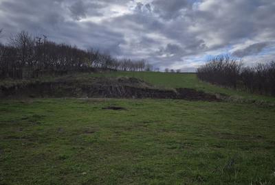 Teren de 5000 mp, în Valea Arini - 5