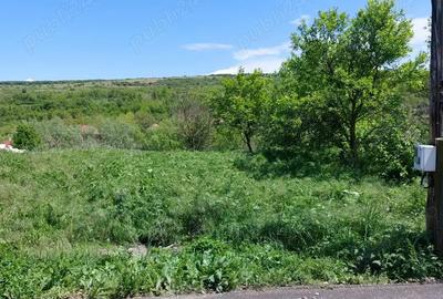 Teren de 2170 mp, în Morău - 8