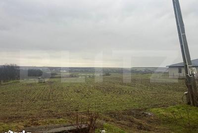 Teren de 2298 mp, în Robănești - 1