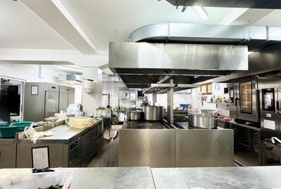 REC3001348 Spatiu comercial I Restaurant I De inchiriat I Lac I Mircea Eliade - - 12