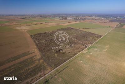 Teren de 1118 mp, în Snagov - 10