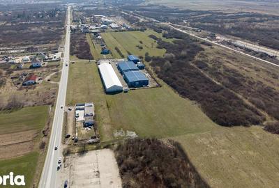 Teren de 7194 mp, în Carașova - 17