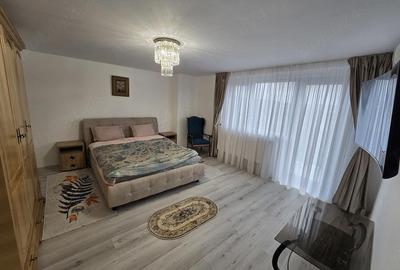 Casă cu 7 camere cu Teren 1500 Mp în Viticultori - 4