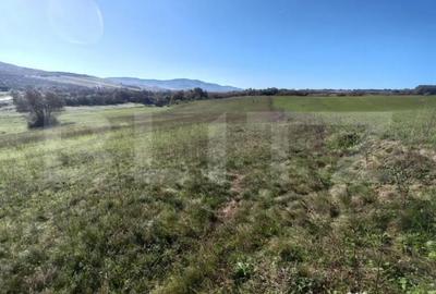 Teren de 2900 mp, în Central - 1