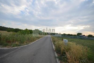 Snagov Ciofliceni - Teren 6153mp, D 25 M, Toate Utilitatile, Asfalt - 2