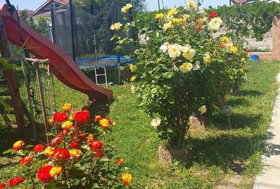 Casă cu Teren 800 Mp în Smârdan - 6