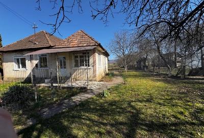 Casă individuală cu 3 camere cu Teren 8000 Mp în Someș-Odorhei - 2