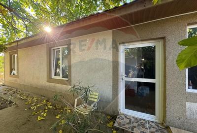 Casa / Vila cu 6 camere de vanzare in zona Sud Casa / Vila cu 6 camere de vanzare in zona Sud - 11