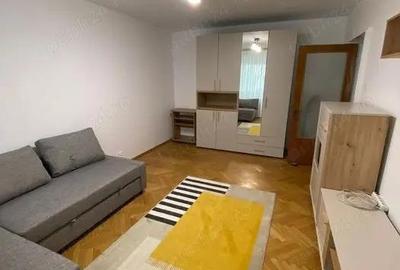 Garsoniera iancului-modern - 1