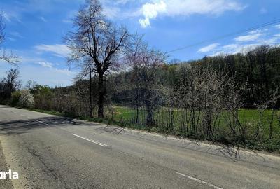 Teren de 10000 mp, în Vânători-Neamț - 9