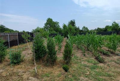 Casă cu 3 camere cu Teren 3000 Mp în Români - 2