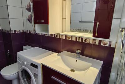 Garsonieră decomandată în Craiovița Nouă - 3