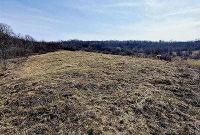 Teren agricol extravilan de 500 mp, în Tomești - 4