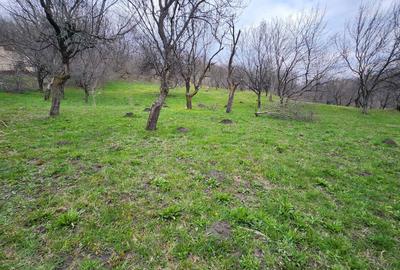 Spațiu comercial, în Periferie - 1