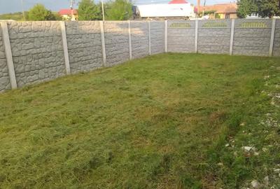 Casă cu Teren 600 Mp în Vințu de Jos - 6