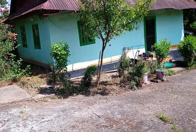 Vand casa sat Badeni, com. Moldovene?ti, jud. Cluj - 3