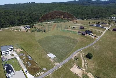 Teren agricol extravilan de 3757 mp, în Păltinoasa - 8