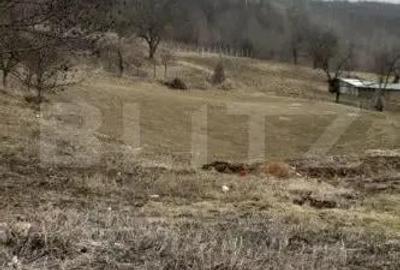 Casa batraneasca cu teren de 6700 mp intravilan, Ipatele - 1
