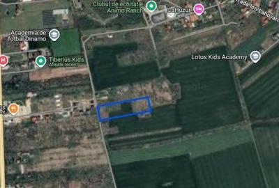 Teren de 5444 mp, în Săftica - 2