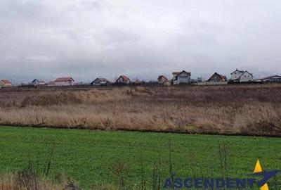 500mp intravilan, rezidential investitional, Sacele - Izvor - 1