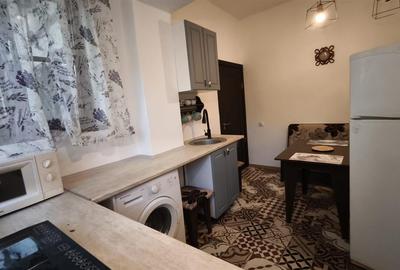 Casa cu curte individuala  2 apartamente moderne, AFI Mall Brasov - 2