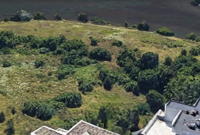 Teren Construcții intravilan de 10000 mp, în Sisești - 3