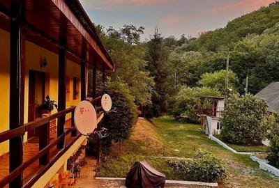 Teren pentru investitii 11.000 mp - 2