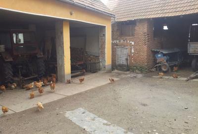 Casă cu 4 camere în Șeica Mică - 2