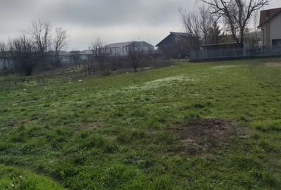 TEREN DE VANZARE DOMNESTI, 600 mp - 3