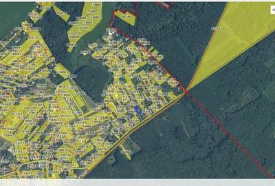 Teren de vanzare ASTORIA Snagov str. Nucului - 2