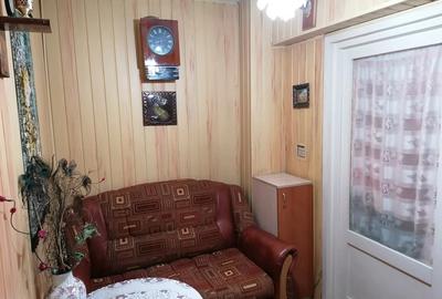 Apartament spa?ios ultracentral,etaj 1, langa Parcul Central - 5