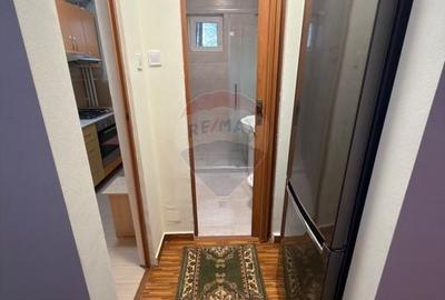 Garsonieră de închiriat în zona Pantelimon - 9