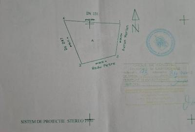 Tren perietu ialomita - 10