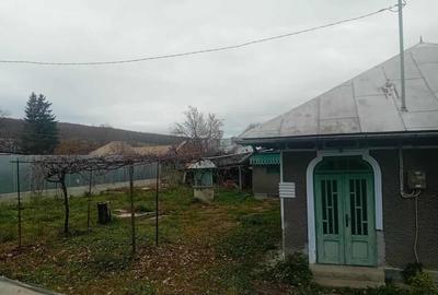 Casa Bodesti 50mp 2 camere bucataria anexe la sosea cu 1500mp teren - 18