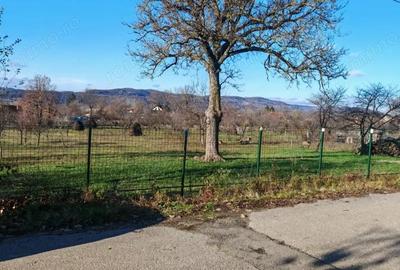 Teren de vanzare 2.550 mp, pozi?ie excelenta, Stalpeni (zona centrala), jud AG - 6