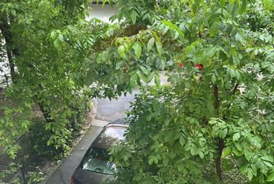 Garsonieră, mobilată în Băneasa - 16