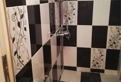 Apartament cu 2 camere în Ferentari - 8
