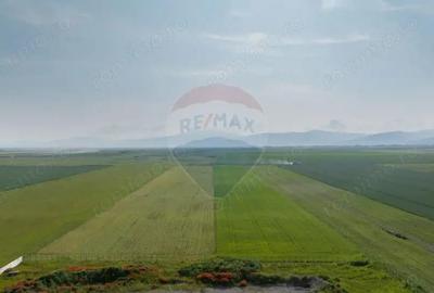 Teren 42,000mp Tarlungeni / Strada Izvor - 6