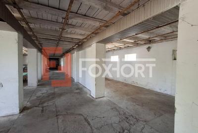 COMISION 0% Spatiu industrial de 695 mp si teren de 1821 mp - Giulvaz - 16