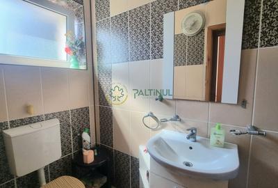 Vila  in selimbar S+P+2E zona Sibiu-Selimbar - 13