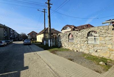 Casa de Vanzare in Deta Investitie Imobiliara cu Potential Unic - 3