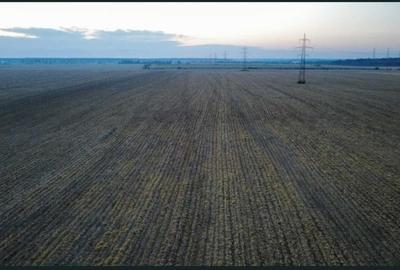 Ocazie- Teren Intravilan de Vanzare- Peris Snagov- Doar 13 euro/mp - 6