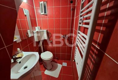 Casa individuala de vanzare curte proprie pivnita Orasul de Jos Sibiu - 13