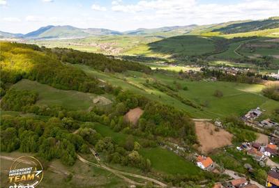 Teren de 11306 mp, în Malnaș - 11