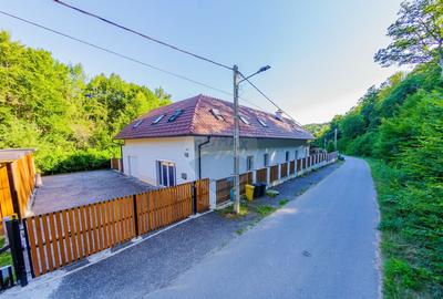 Casa de vis in Loc. Intrerauri