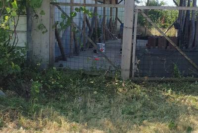 Teren de 397 mp, în Șimnicu de Jos - 4