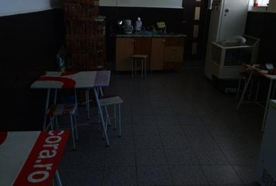Imobil Mosoaia - Hintesti, 14 camere, teren 1.382mp - 23