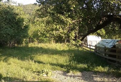 Teren de 864 mp, în Gurguiata - 1