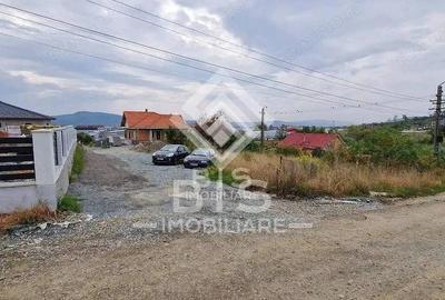 Teren 711 mp - Zona Leoni - 1