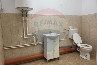 Spațiu industrial, de 70 mp, în Astra - 9
